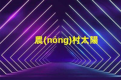 農(nóng)村太陽能路燈廠家高效光源與節(jié)能解決方案